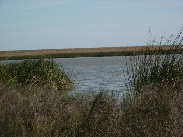 Lease pasture Lake